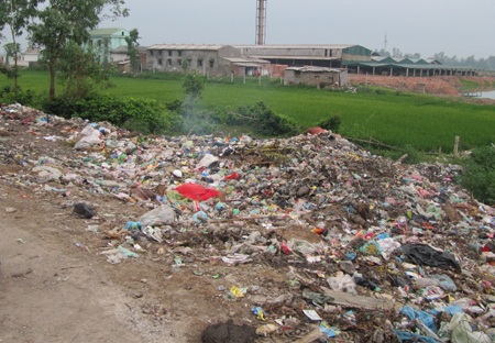 Phát hiện thi thể trẻ sơ sinh trong bãi rác - 3