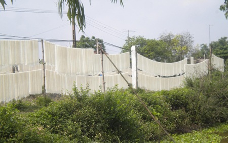 Giật mình với quy trình làm mì sợi - 11