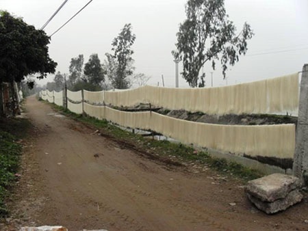 Giật mình với quy trình làm mì sợi - 10