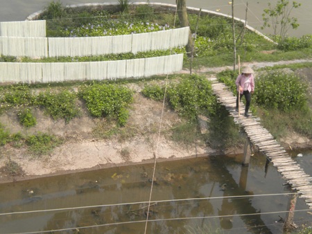 Giật mình với quy trình làm mì sợi - 8