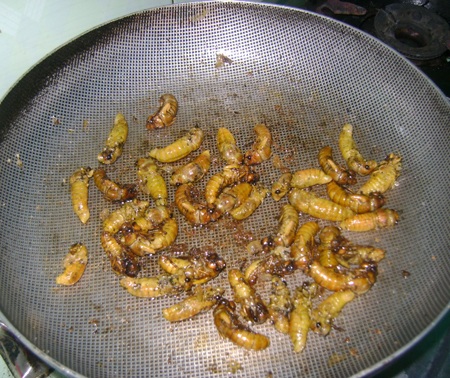 Săn ve sầu làm... mồi nhậu  - 8