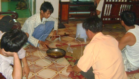Săn ve sầu làm... mồi nhậu  - 9