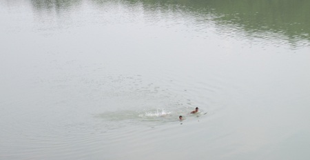 Thót tim với những trò giải trí của trẻ em nông thôn - 2