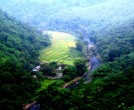 Chiêm ngưỡng vẻ đẹp đồng lúa rẻo cao xứ Nghệ  - 9