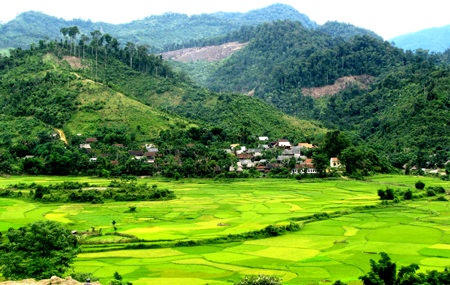 Chiêm ngưỡng vẻ đẹp đồng lúa rẻo cao xứ Nghệ  - 1