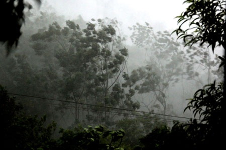 Mưa to tiếp diễn khắp miền Bắc, 14 người chết, 81 người bị thương - 6