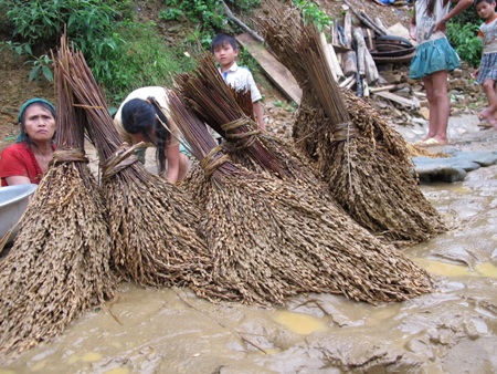 Chênh vênh bên dòng suối Chạ  - 13