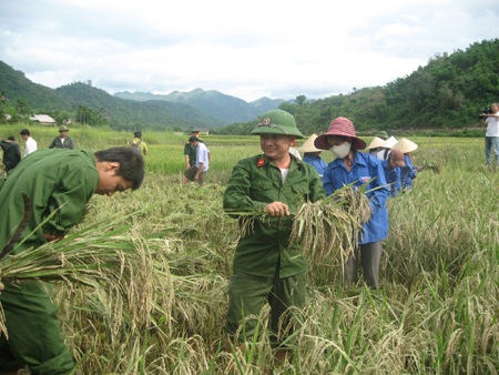 Hoang tàn miền Tây xứ Nghệ sau cơn bão số 2  - 2