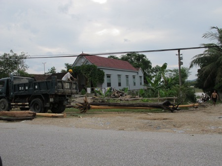 Mót gỗ giữa dòng thủy thần  - 14