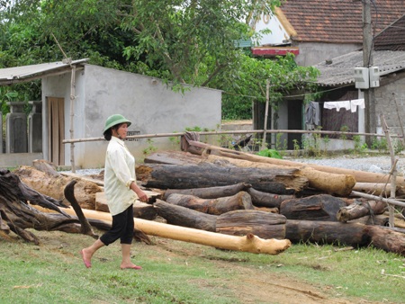 Mót gỗ giữa dòng thủy thần  - 16