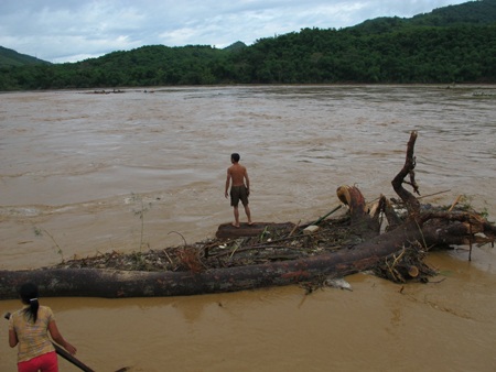 Mót gỗ giữa dòng thủy thần  - 6