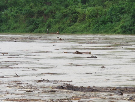 Mót gỗ giữa dòng thủy thần  - 1