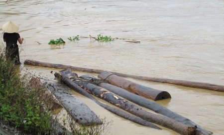 Mót gỗ giữa dòng thủy thần  - 8