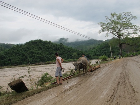 Mót gỗ giữa dòng thủy thần  - 13