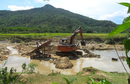 "Vàng tặc" đại náo Châu Phong - 1