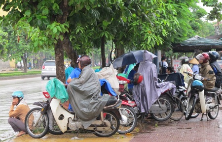 Lặng lẽ cha mẹ đội mưa đợi con làm bài - 2