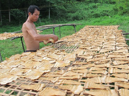 Mùa măng ngọt - 3