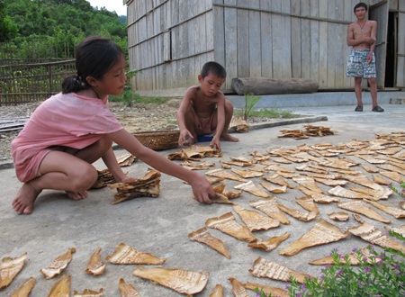 Mùa măng ngọt - 5