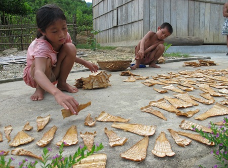 Mùa măng ngọt - 6