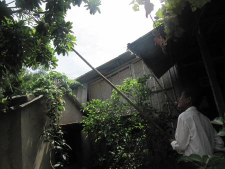 Kiếm vài chục triệu mỗi tháng nhờ... săn cào cào - 2