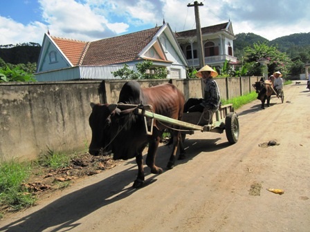 Triển khai các biện pháp phòng chống dịch bệnh gia súc, gia cầm - 1