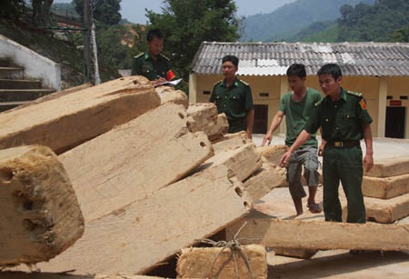 Chiến sĩ biên phòng bắt vụ vận chuyển gần 5m3 gỗ pơmu - 1