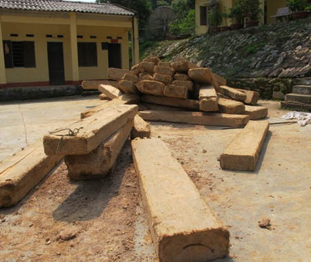 Chiến sĩ biên phòng bắt vụ vận chuyển gần 5m3 gỗ pơmu - 2