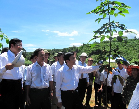 Chủ tịch nước dâng hương tại Khu di tích Kim Liên - 9 Chủ tịch nước dâng hương tại Khu di tích Kim Liên - 9
