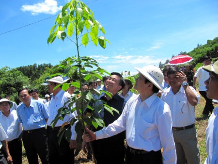 Chủ tịch nước dâng hương tại Khu di tích Kim Liên - 10 Chủ tịch nước dâng hương tại Khu di tích Kim Liên - 10