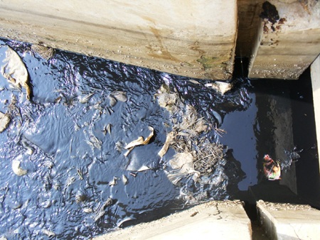 Kinh hoàng bãi rác khổng lồ nơi cửa biển - 6