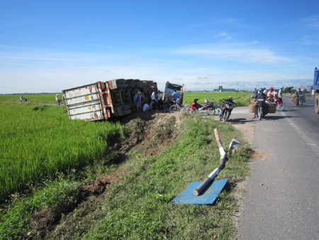 Xe container lật dưới ruộng  - 1