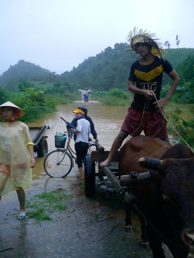 Cận cảnh mưa lũ tàn phá Con Cuông - 11