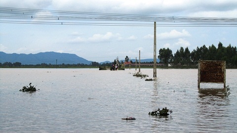 Cháu bé 8 tuổi chết đuối trên đường đi học - 1 Cháu bé 8 tuổi chết đuối trên đường đi học - 1