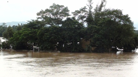 Nước sông Lam dâng cao, hàng trăm hộ dân ngập lụt  - 3