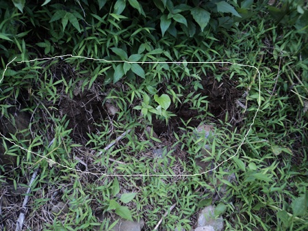 Nghệ An: Nứt núi Pu Căm, hàng trăm người dân bị đe doạ - 5