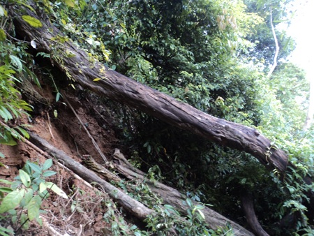 Nghệ An: Nứt núi Pu Căm, hàng trăm người dân bị đe doạ - 1