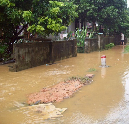 Con Cuông một ngày sau cơn lũ chưa từng có - 5