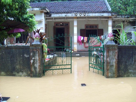 Con Cuông một ngày sau cơn lũ chưa từng có - 1