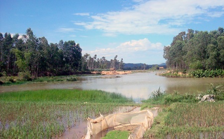 Hiện trường khe nước Mắm - nơi xảy ra hỗn chiến, làm nhiều người nhập viện.