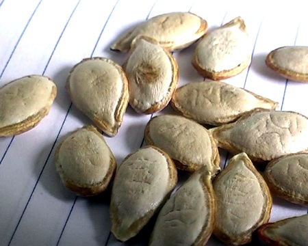 Chữ Nho xuất hiện trên hạt bí? - 1 Những hạt bí được cho là chữ nho xuất hiện trên đó.