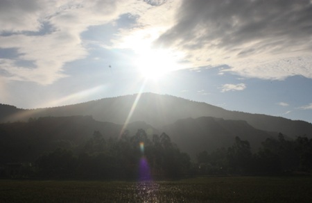 Ánh bình mình chiếu dọi xuống cánh đồng.