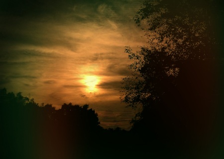 Hoàng hôn khuất sau rừng tre.