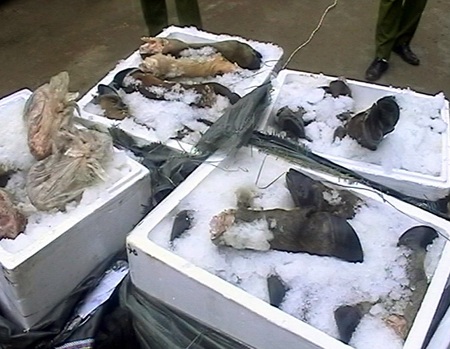 Khoảng 400kg chân trâu được đựng trong 8 thùng xốp có mùi.