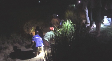 Rộn ràng bắt cá đêm hè