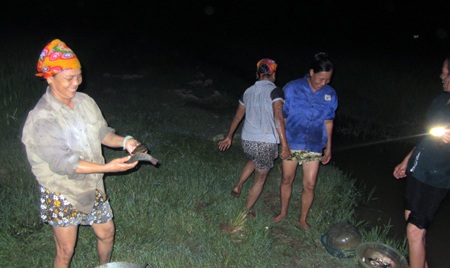 Niềm vui khi bắt được cá.