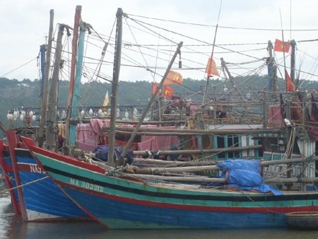 Tàu thuyền Nghệ An neo đậu tránh bão. (Ảnh: Nguyễn Duy)