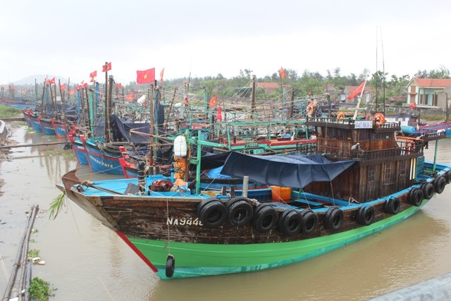 Tàu cá ở vùng biển Quỳnh Lưu vào bờ trú ẩn.