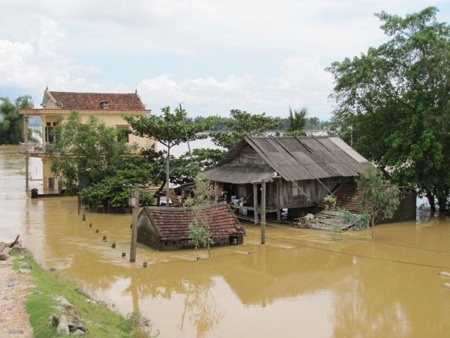 Nhiều hộ dân ở Hưng Nguyên chìm trong biển nước cứ mỗi khi nước sông Lam dâng lên.