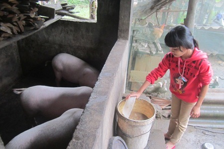 Hai anh em Thắng và Đan Thùy trước căn nhà đã cũ nát của ba bác cháu.