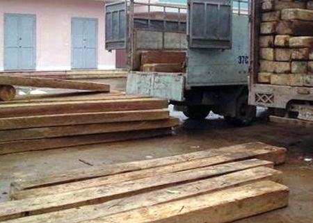 Vụ vận chuyển hơn 25m3 gỗ được CA tỉnh Nghệ An bắt giữ.